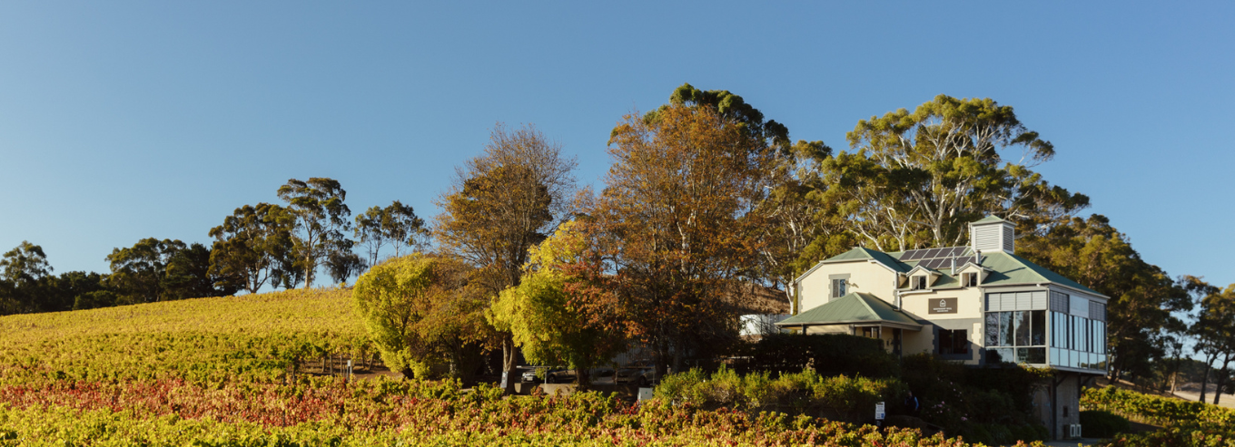 Hahndorf Hill Winery